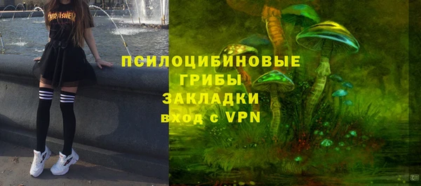 гашик Абаза