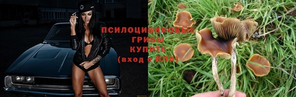 синтетический гашиш Абинск