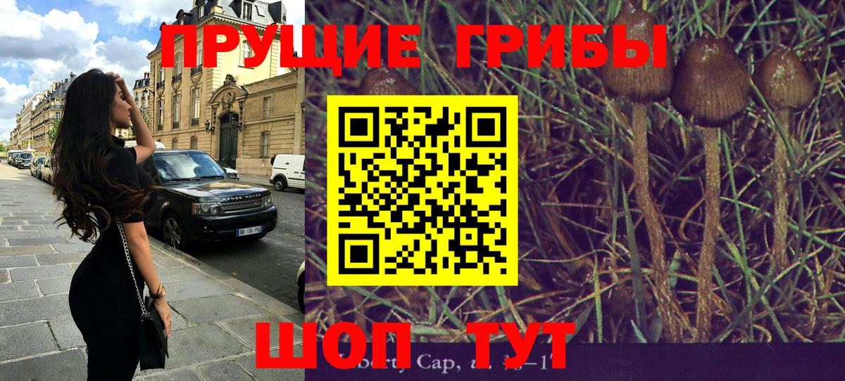 Шарыпово  Псилоцибиновые грибы Psilocybine cubensis  Вход с VPN  Галлюциногенные грибы ЛСД 